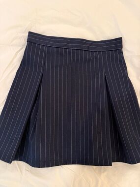 Zara Navy and White Pinstripe Pleated Skirt